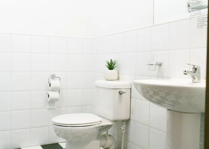 酒店 The Camden Street 2*